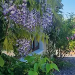 ゲストハウス Foxglove House