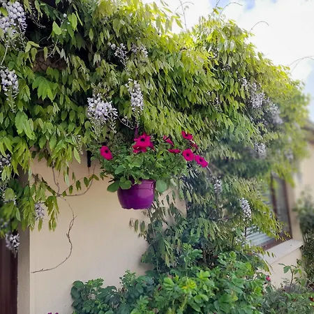 Foxglove Vendégház Douglas