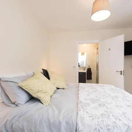 Foxglove 더글러스