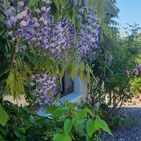 Gasthuis Foxglove House