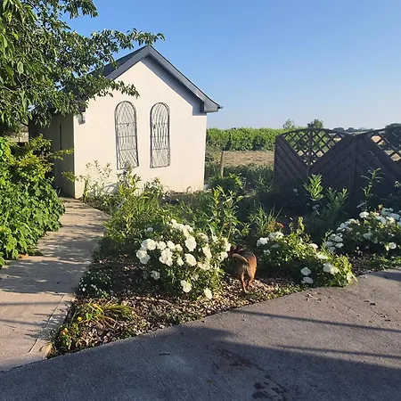 Гостевой дом Foxglove House Дуглас