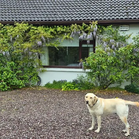 Foxglove House Дуглас