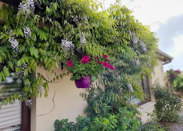 Foxglove 게스트하우스 더글러스