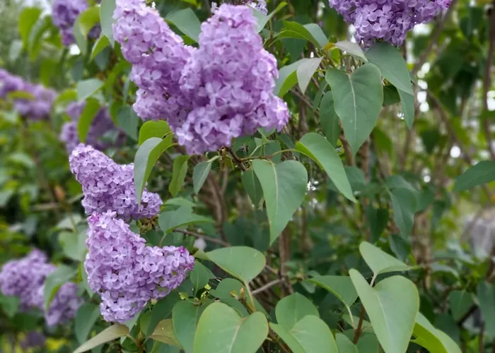 게스트하우스 Foxglove 더글러스