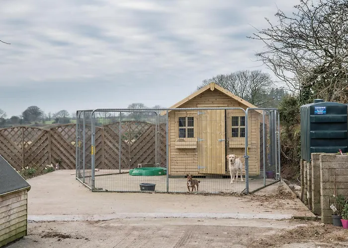 Foxglove 더글러스