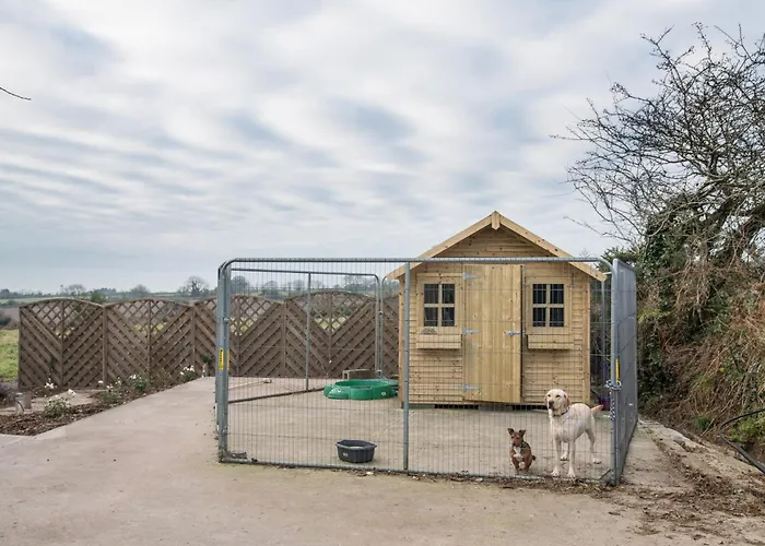 게스트하우스 Foxglove 3*