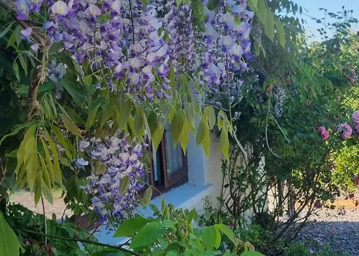 Casa de hóspedes Foxglove House